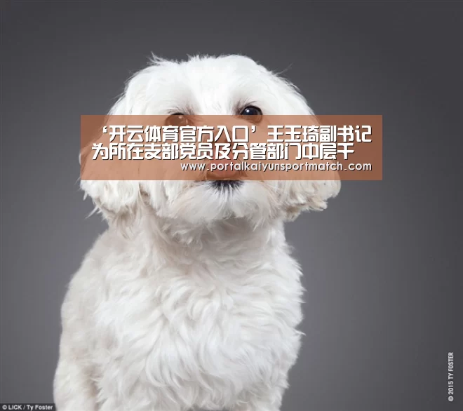 ‘开云体育官方入口’王玉琦副书记为所在支部党员及分管部门中层干部讲党课(图1) KAIYUN体育