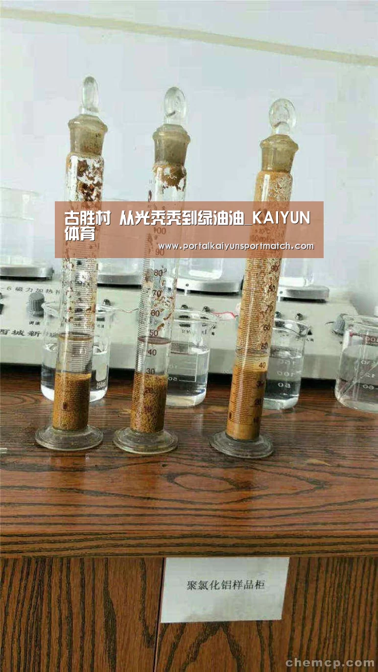 开云体育官网