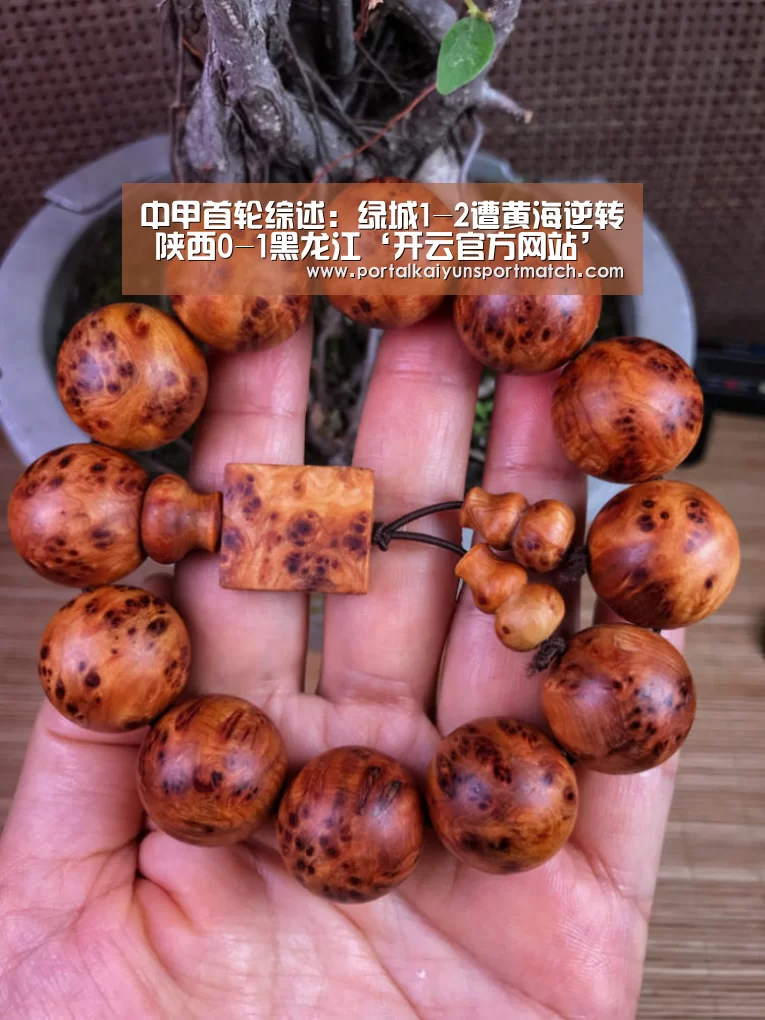 中甲首轮综述:绿城1-2遭黄海逆转 陕西0-1黑龙江‘开云官方网站’(图1) 开云体育官方入口