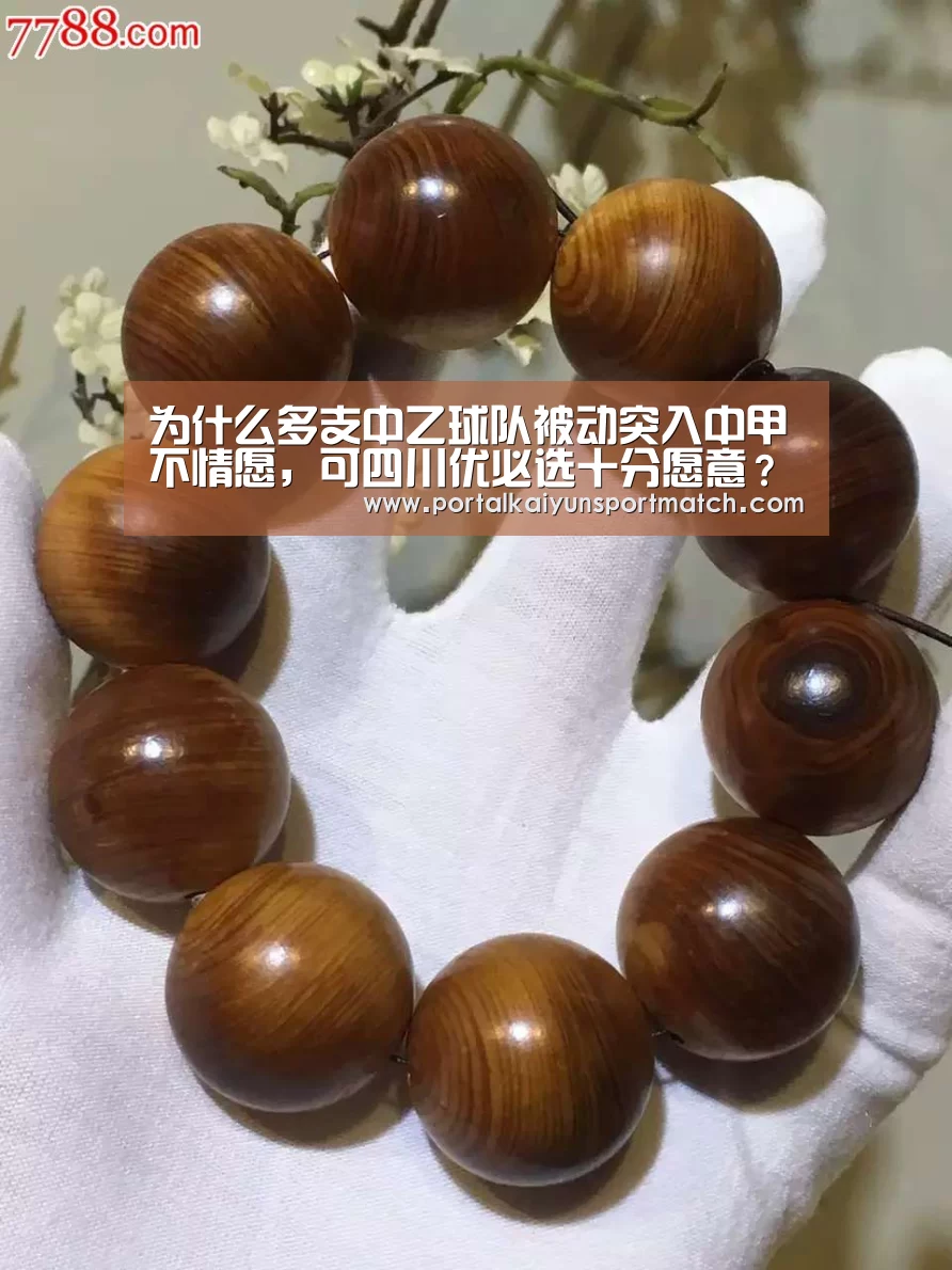 为什么多支中乙球队被动突入中甲不情愿,可四川优必选十分愿意?_开云体育官方入口(图4) 开云体育官网