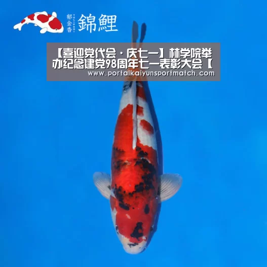 【喜迎党代会·庆七一】林学院举办纪念建党98周年七一表彰大会【KAIYUN体育】(图1) 开云体育官网