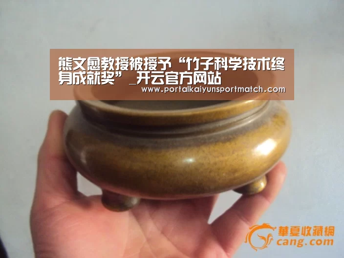 熊文愈教授被授予“竹子科学技术终身成就奖”_开云官方网站(图2) 开云体育官方入口