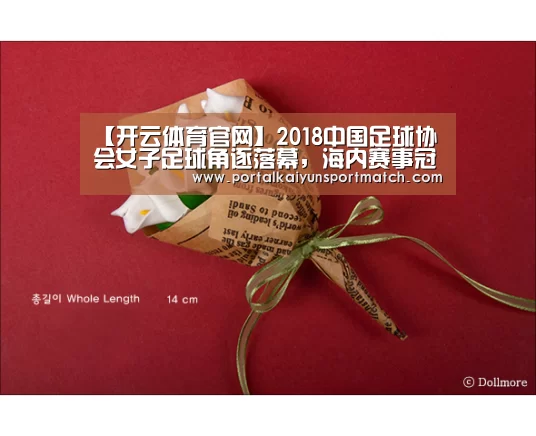 【开云体育官网】2018中国足球协会女子足球角逐落幕,海内赛事冠军,各有所属(图3) 开云体育官网